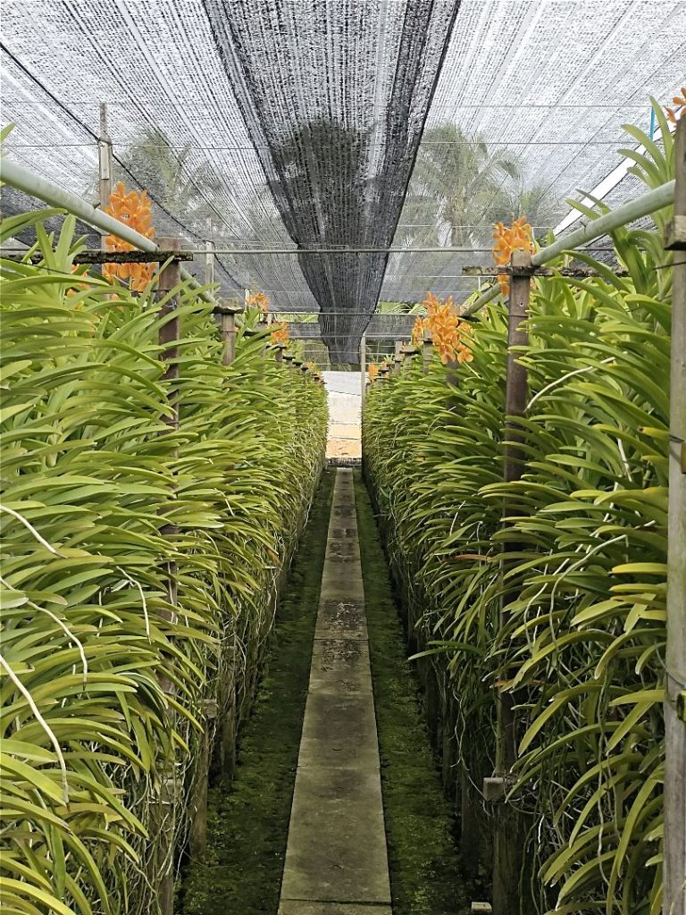 Projects KOPERASI SAHABAT FULDA MALAYSIA BERHAD